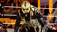 Goldust may never return to the ring